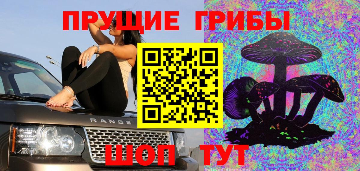 Псилоцибиновые грибы мицелий Кувандык