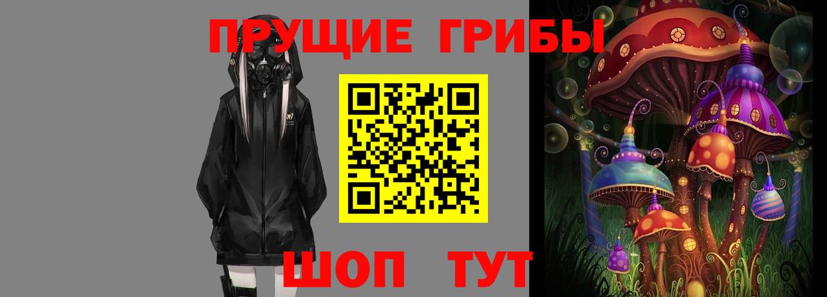 Псилоцибиновые грибы Psilocybine cubensis  дарнет шоп  Кувандык  Вход с VPN 